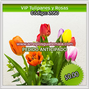 arreglos de tulipanes en guatemala