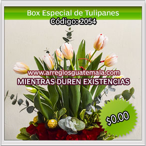 tulipanes dia del cariño